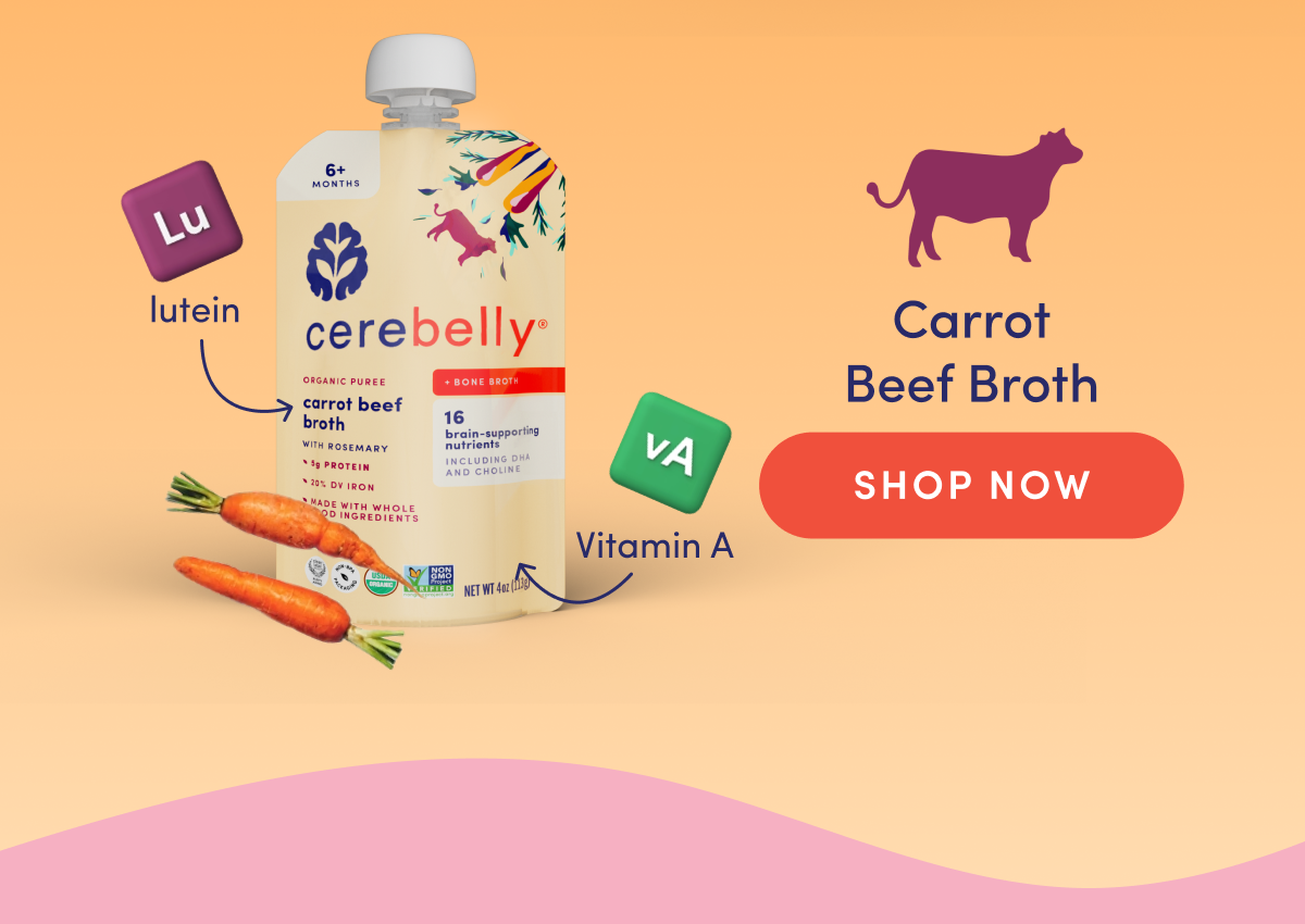 Cerebelly Carrot Beef Broth | SHOP NOW