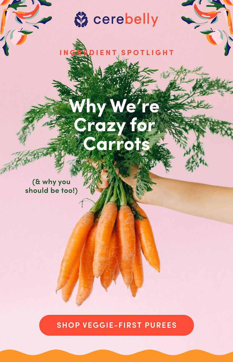 Crazy for Carrots | Shop our Veggie-first Purees
