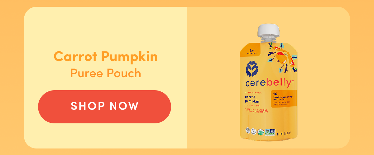 Cerebelly Carrot Pumpkin | SHOP NOW