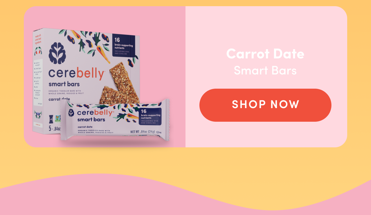 Cerebelly Carrot Date Smart Bars | SHOP NOW