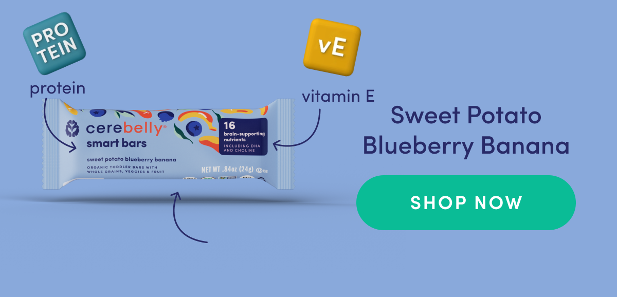 SHOP NOW l Sweet Potato Blueberry Banana Smart Bars