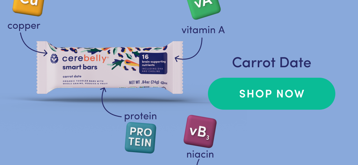 SHOP NOW l Carrot Date Smart Bars