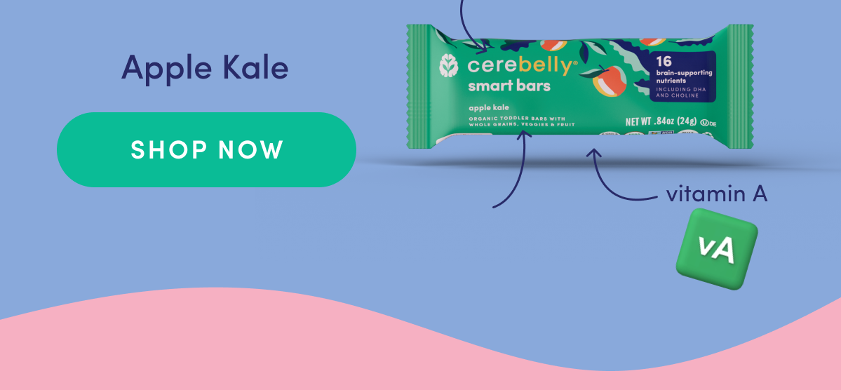SHOP NOW l Apple Kale Smart Bars