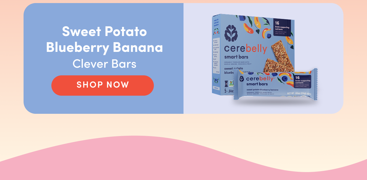 SHOP NOW: Sweet Potato Blueberry Banana Smart Bars