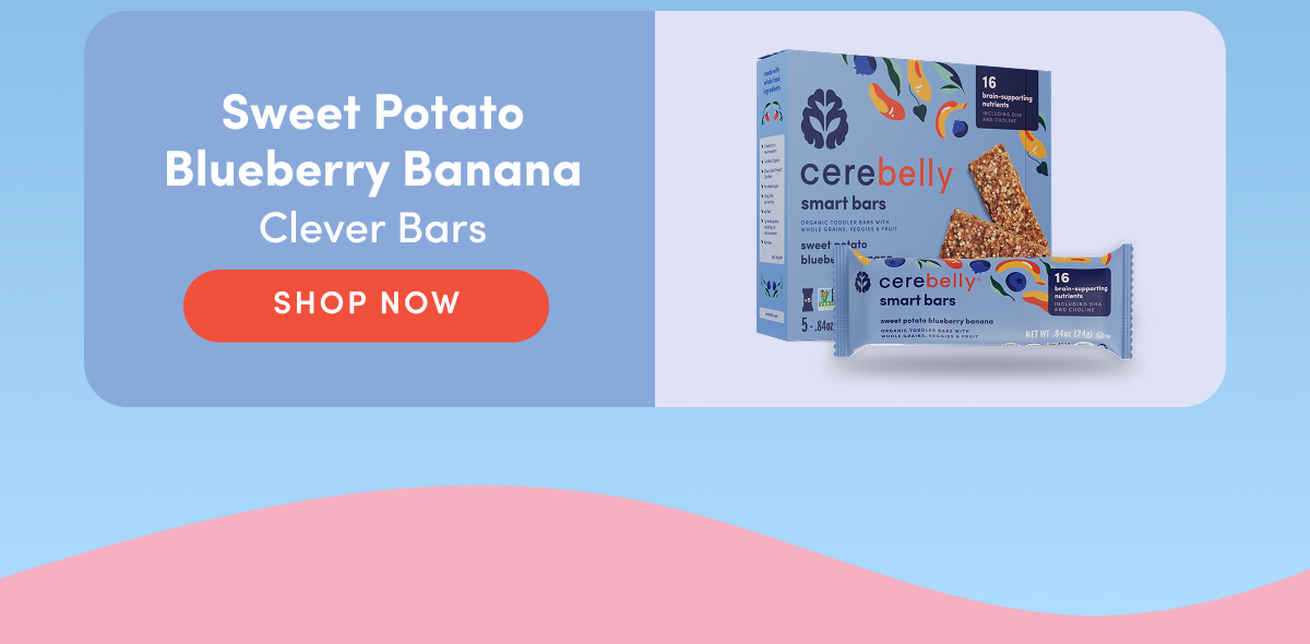 SHOP NOW: Sweet Potato Blueberry Banana Smart Bars