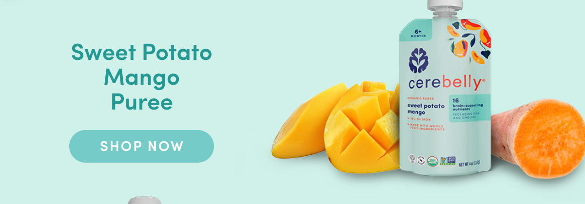 Shop Now: Sweet Potato Mango Puree