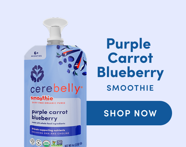 Shop Now: Purple Carrot Blueberry Smoothie
