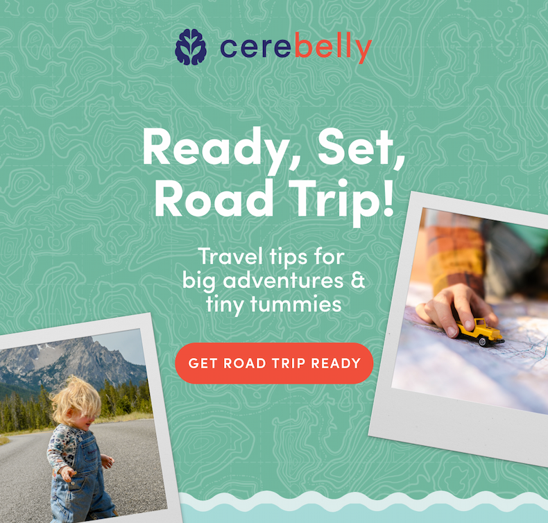 Ready, Set, Road Trip! Shop Road Trip-Ready Essentials