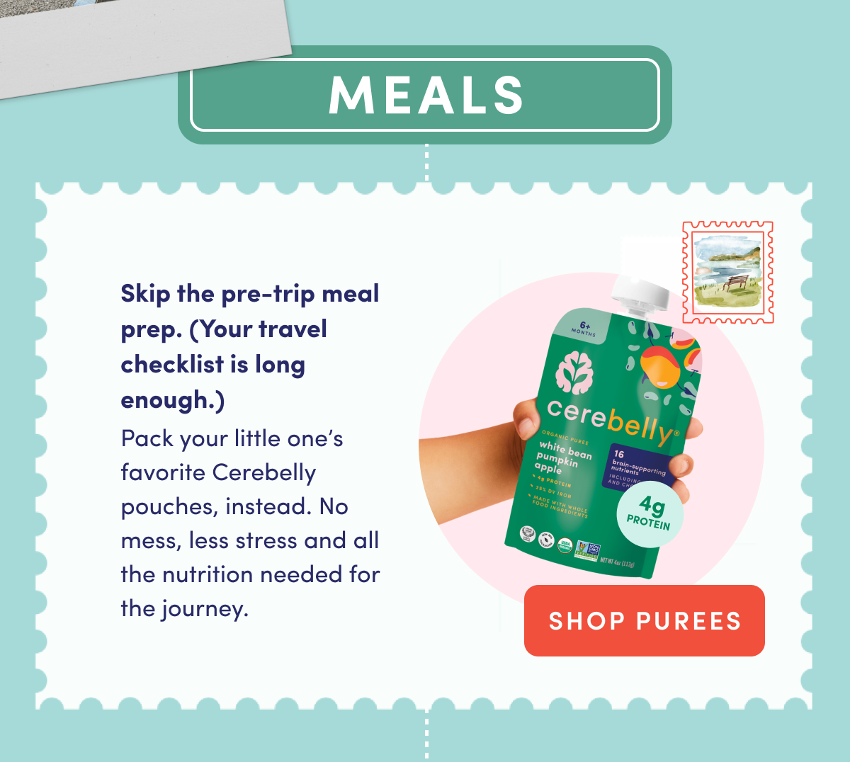Meals: Shop Cerebelly Veggie-first Purees