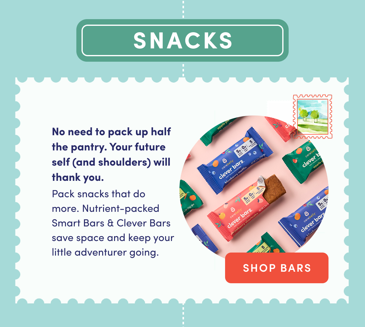 Snacks: Shop Cerebelly Clever Bars & Smart Bars