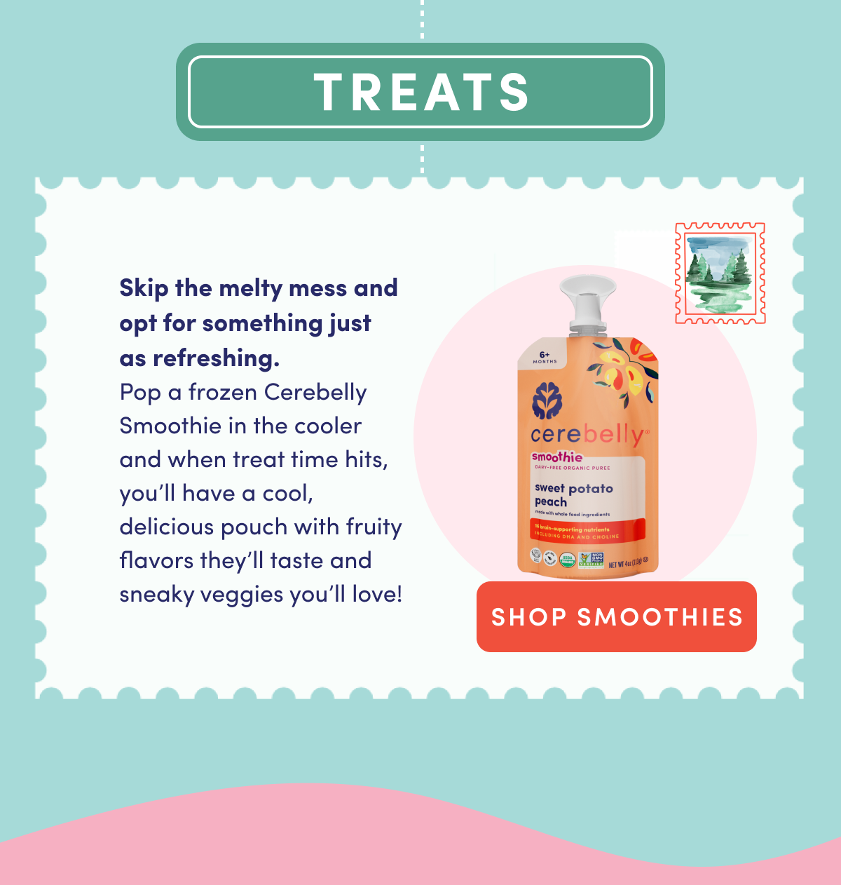 Treats: Shop Cerebelly Veggie-first Smoothies