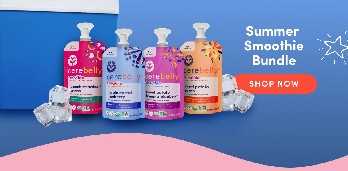 Shop Now: Summer Smoothie Bundle