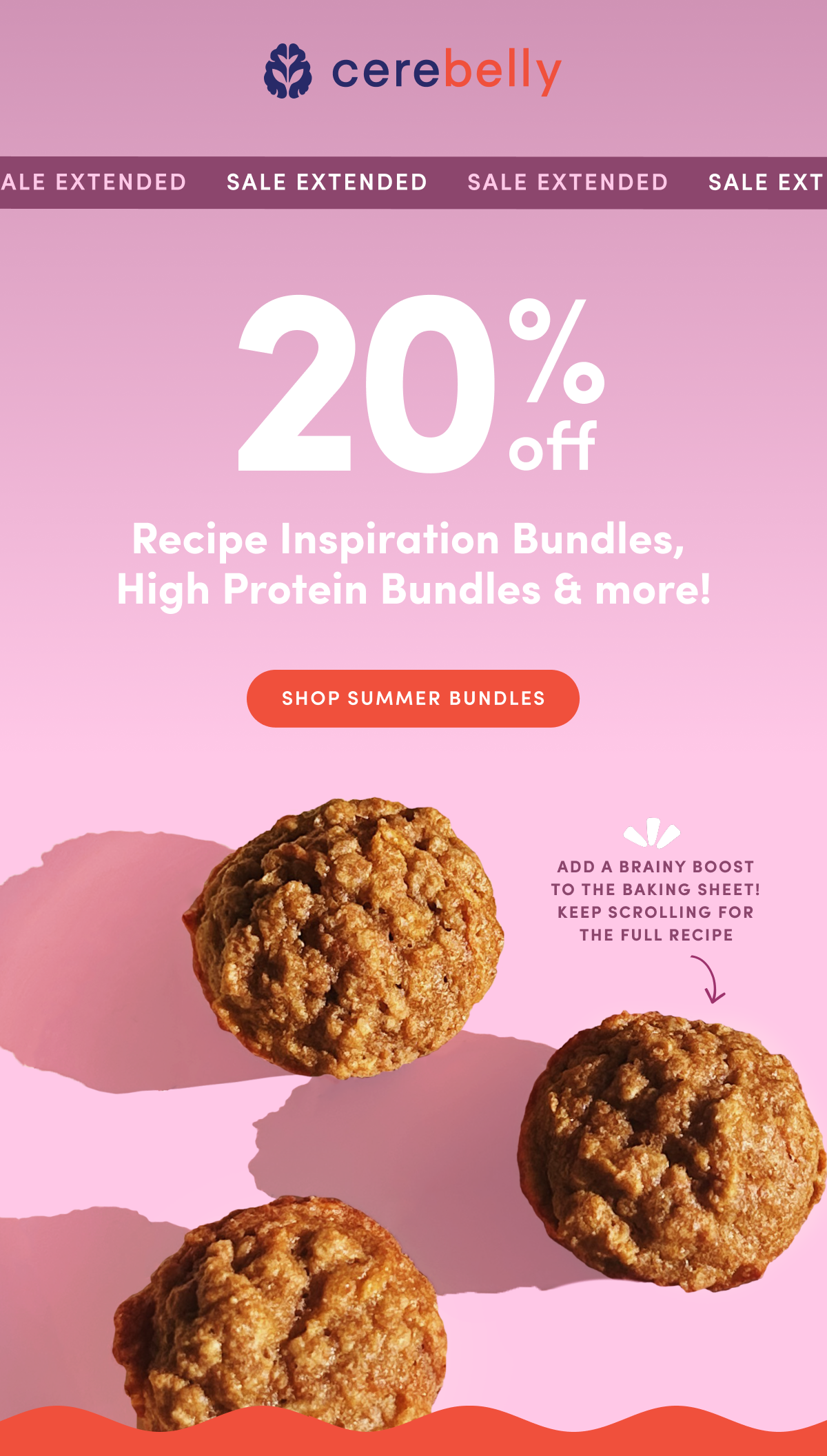 Summer Bundle Sale: Extended for a Limited Time! 