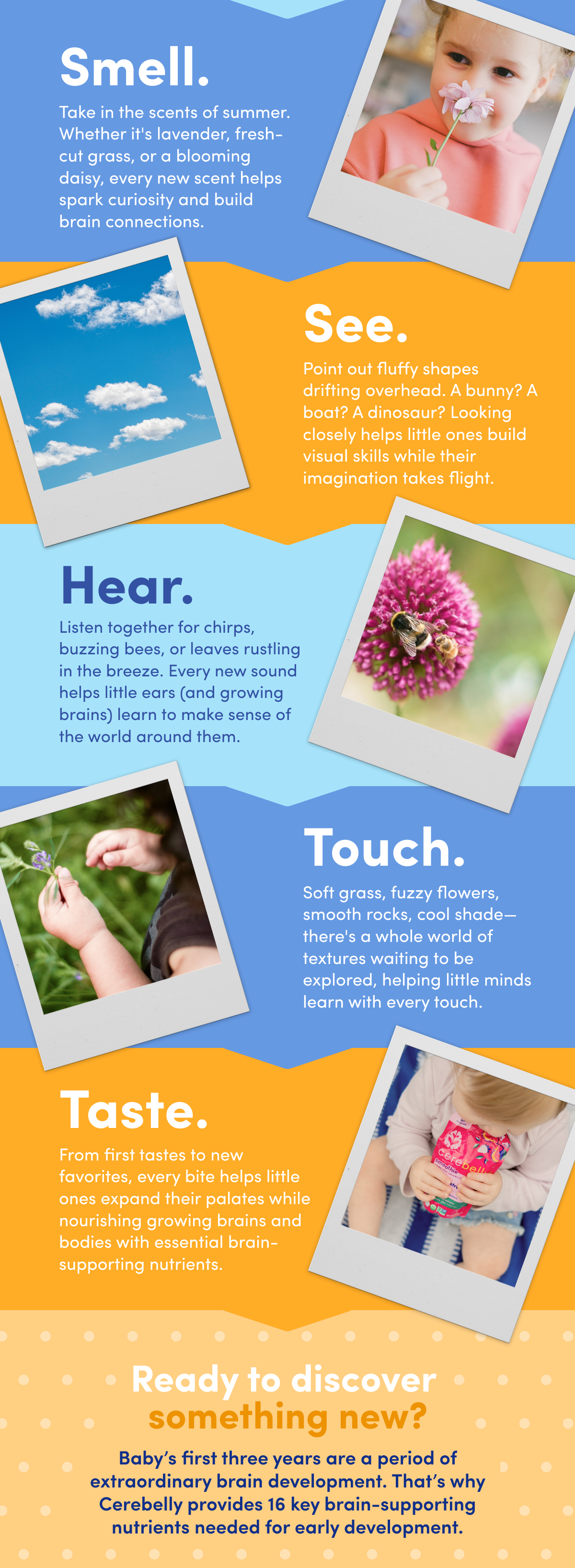 Turn one day into a world of new discoveries. Smell. See. Hear. Touch. Taste.
