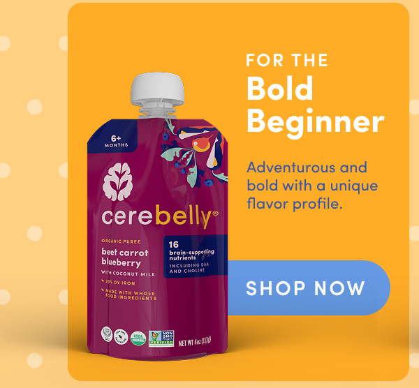 For the Bold Beginner: Shop Beet Carrot Blueberry Veggie Puree