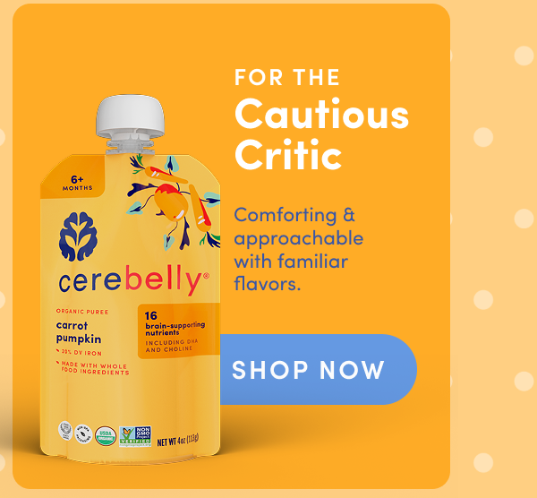 For the Cautious Critic: Shop Carrot Pumpkin Veggie Puree