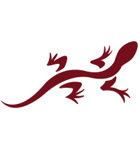 Chaco Logo