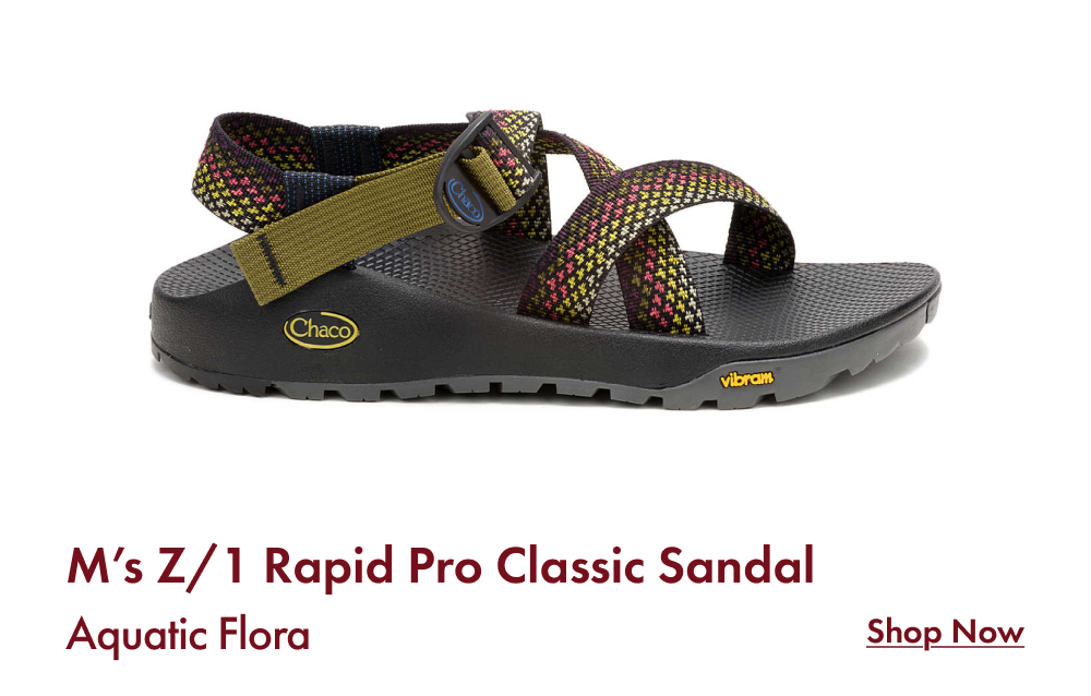 Men's Z/1 Rapid Pro Classic Sandal - Aquatic Flora - SHOP NOW