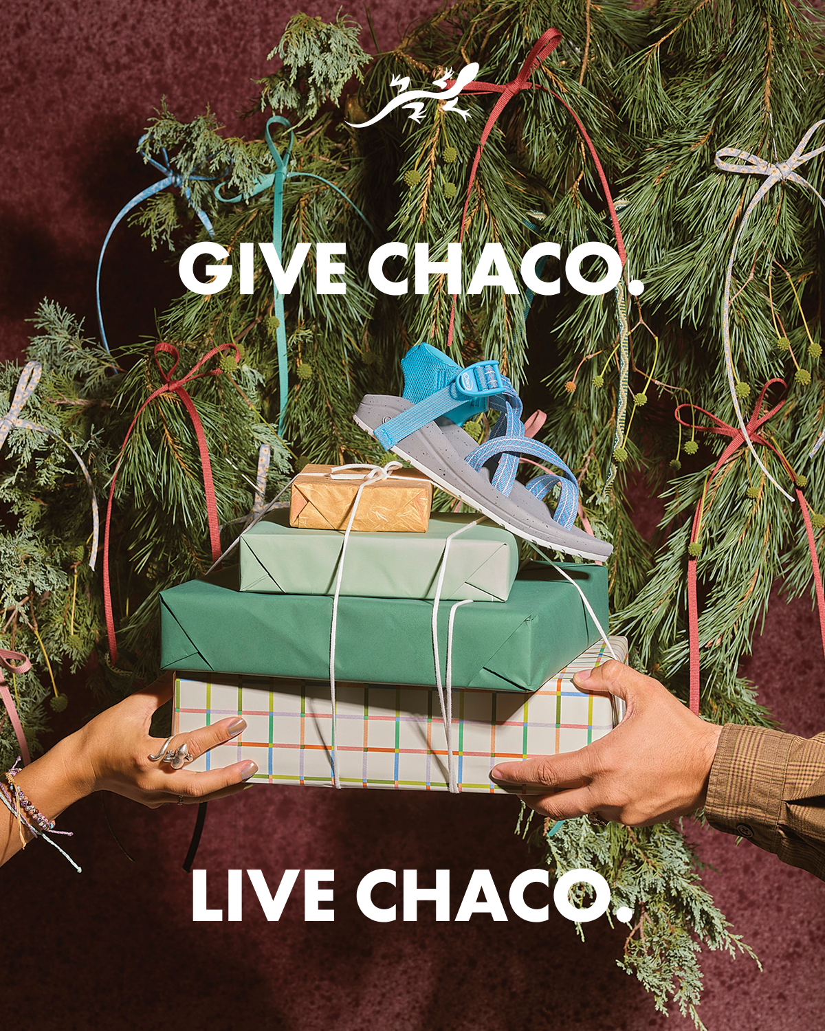 GIVE CHACO. LIVE CHACO. 