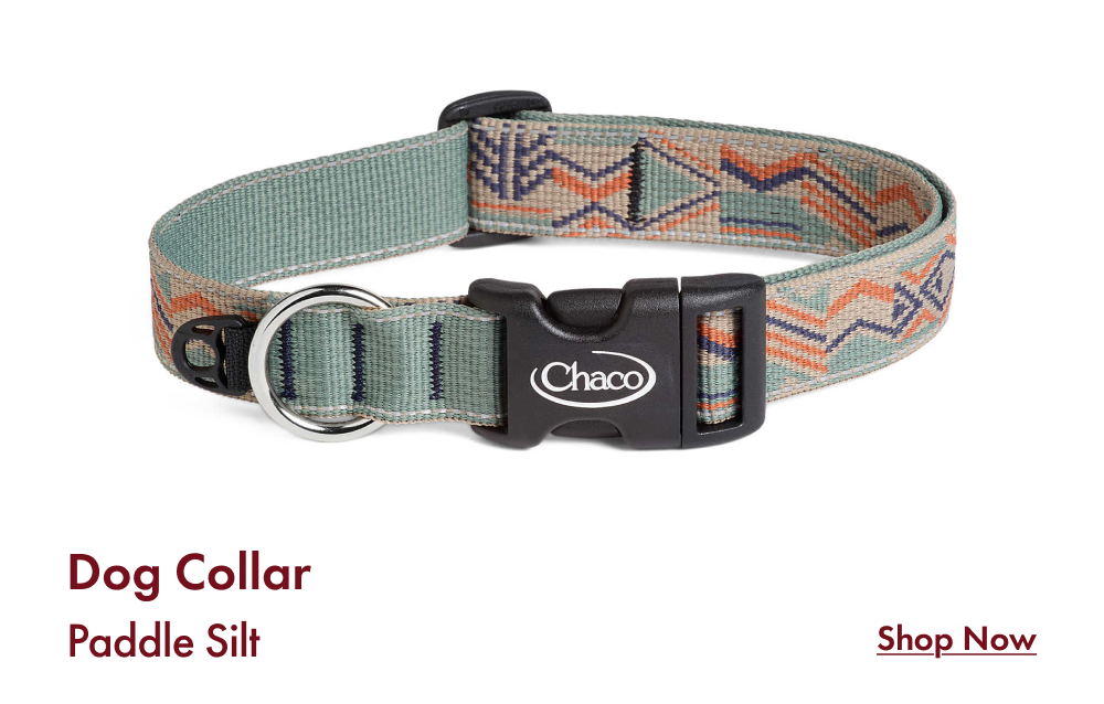 Dog Collar - Paddle Silt - SHOP NOW