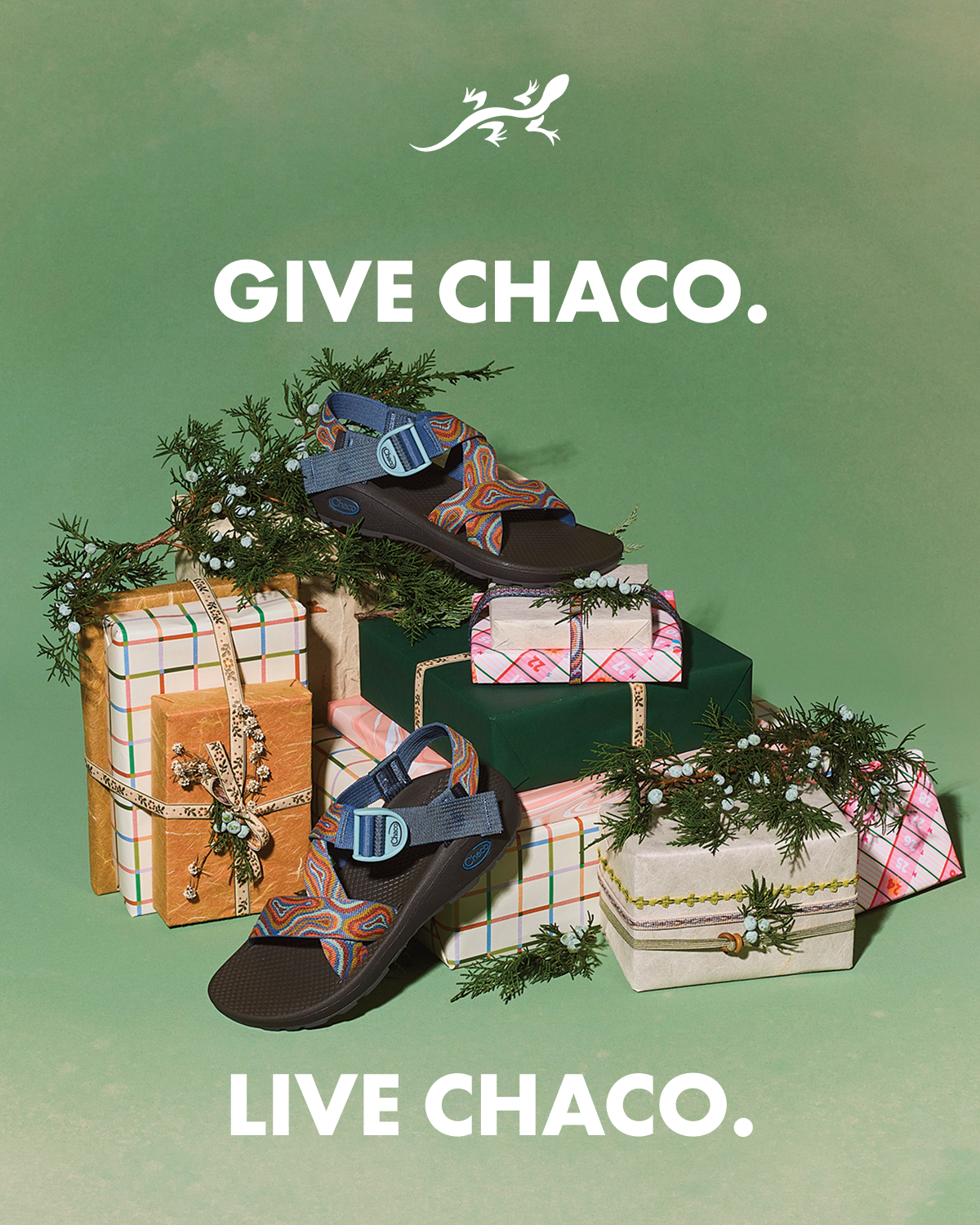 GIVE CHACO. LIVE CHACO. 