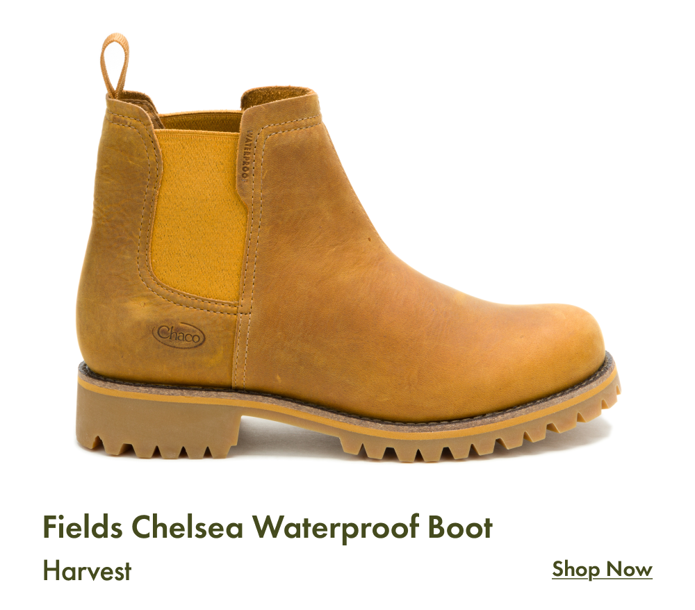 Fields Chelsea Waterproof Boot - Harvest - SHOP NOW