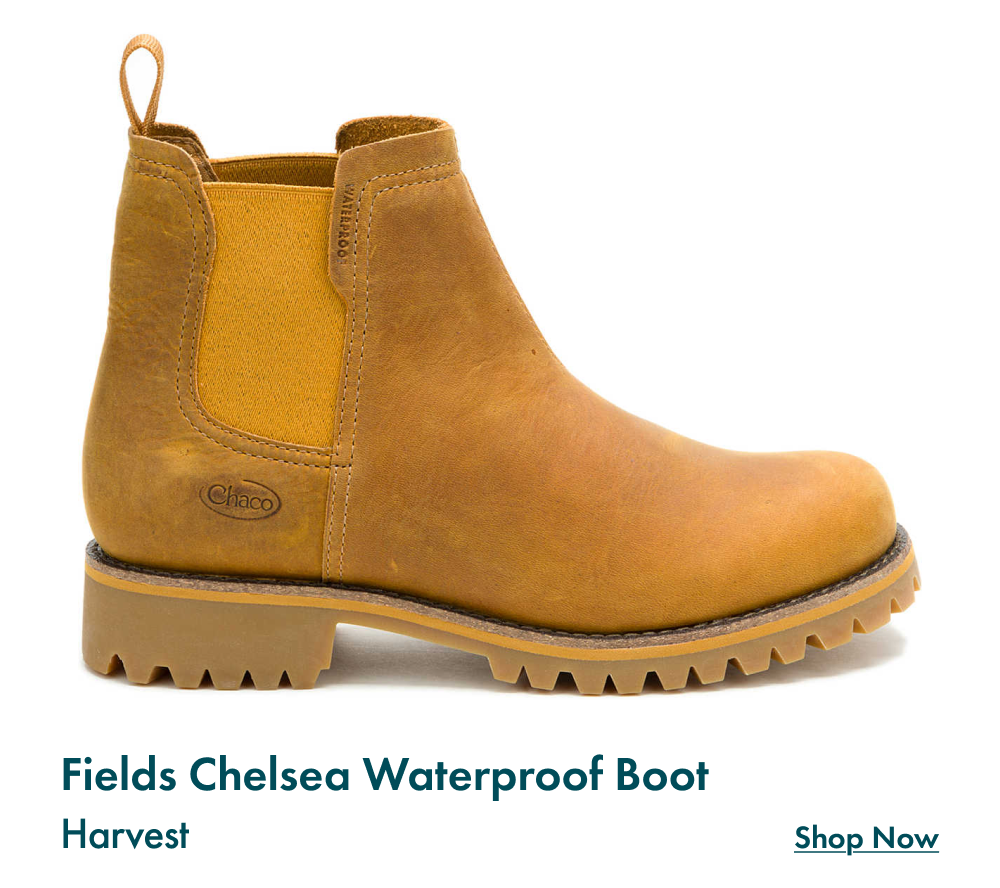 Fields Chelsea Waterproof Boot - Harvest - SHOP NOW