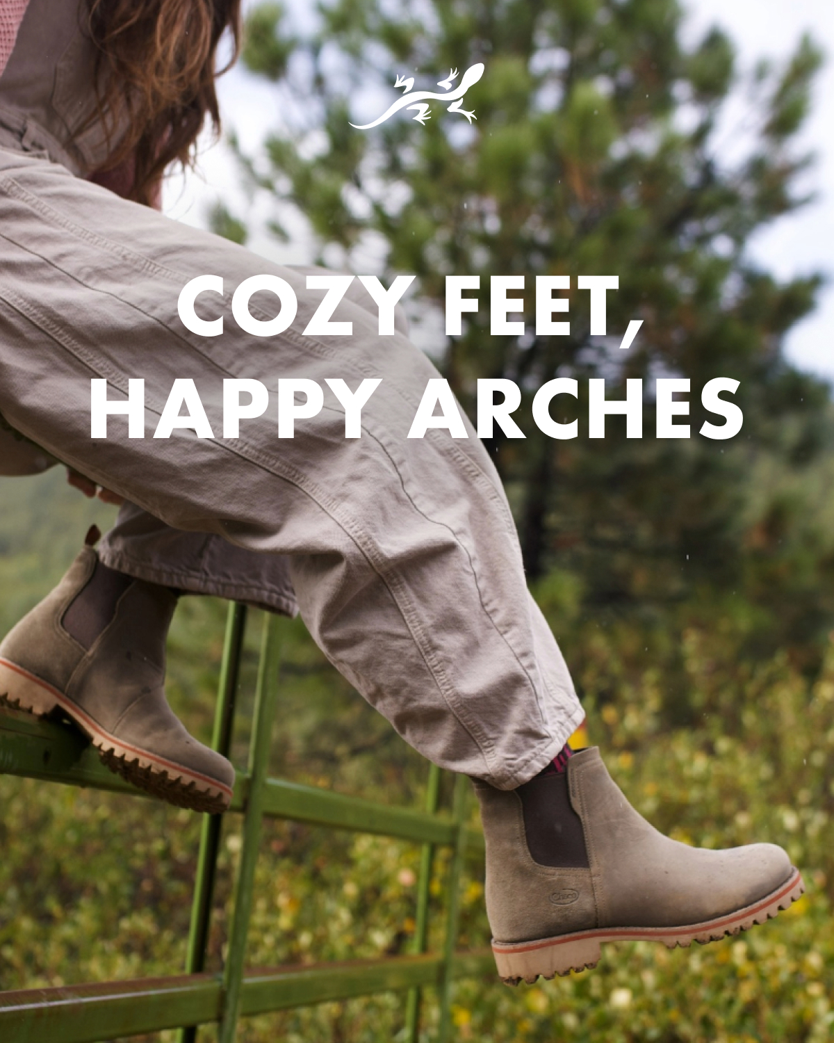 Chaco. Chillos.