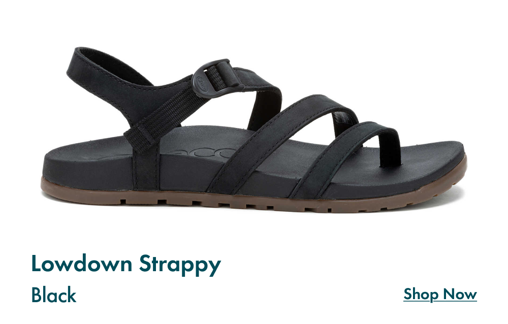Lowdown Strappy - Black - SHOP NOW