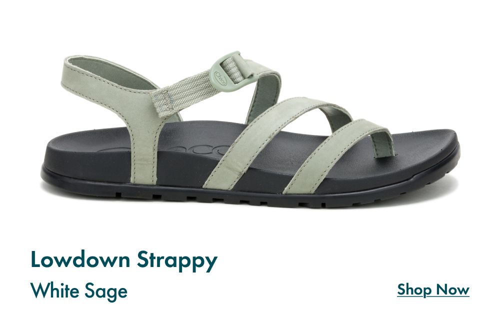 Lowdown Strappy - White Sage - SHOP NOW