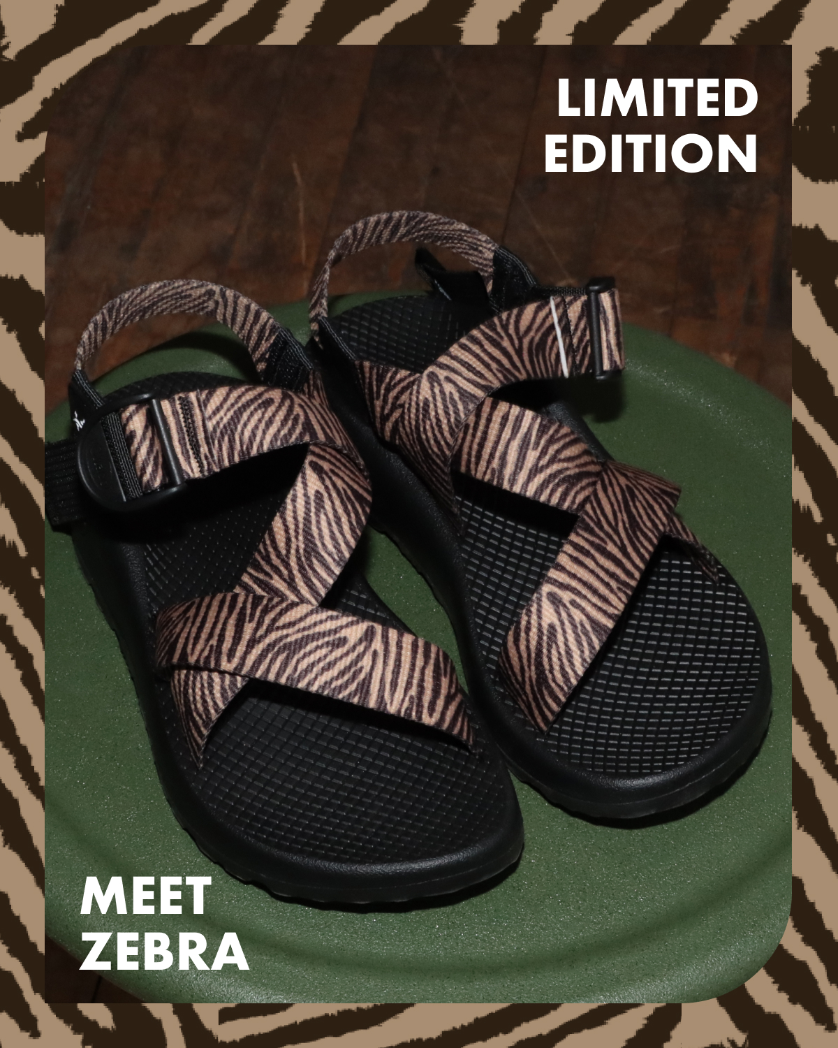 CHACOS. LIMITED EDITION. MEET ZEBRA.