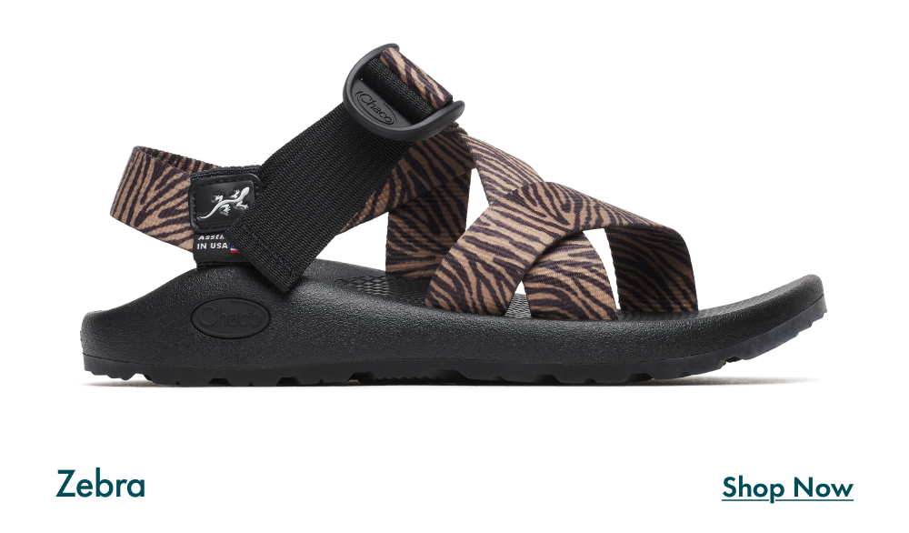 Zebra - SHOP NOW