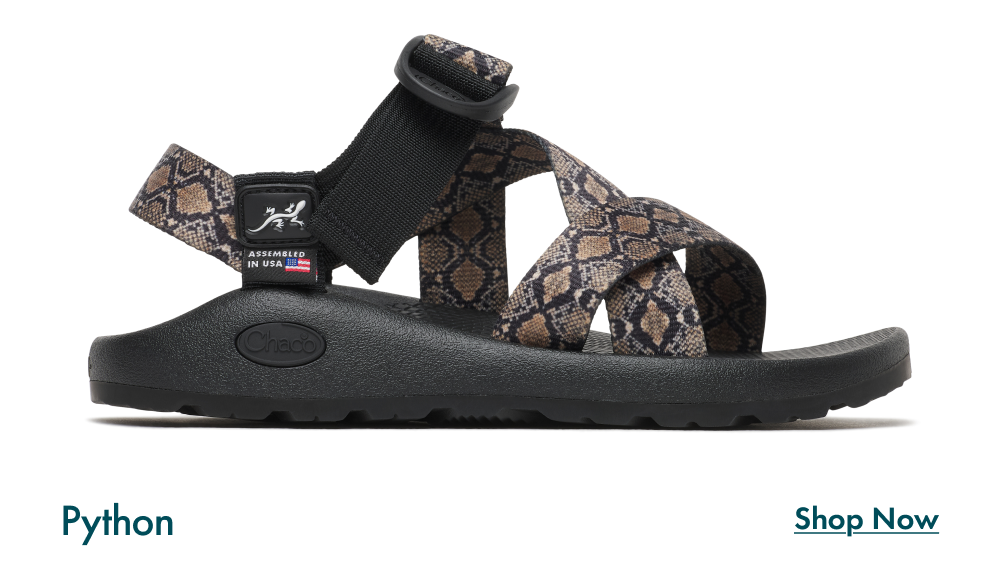Python - SHOP NOW