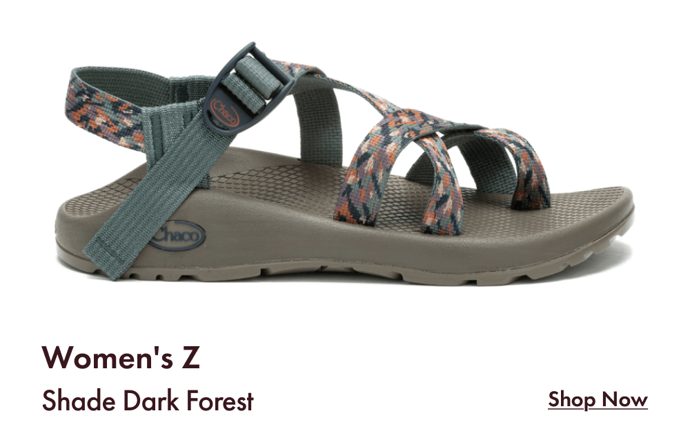 Women's Z - Shade Dark Forest - SHOP NOW