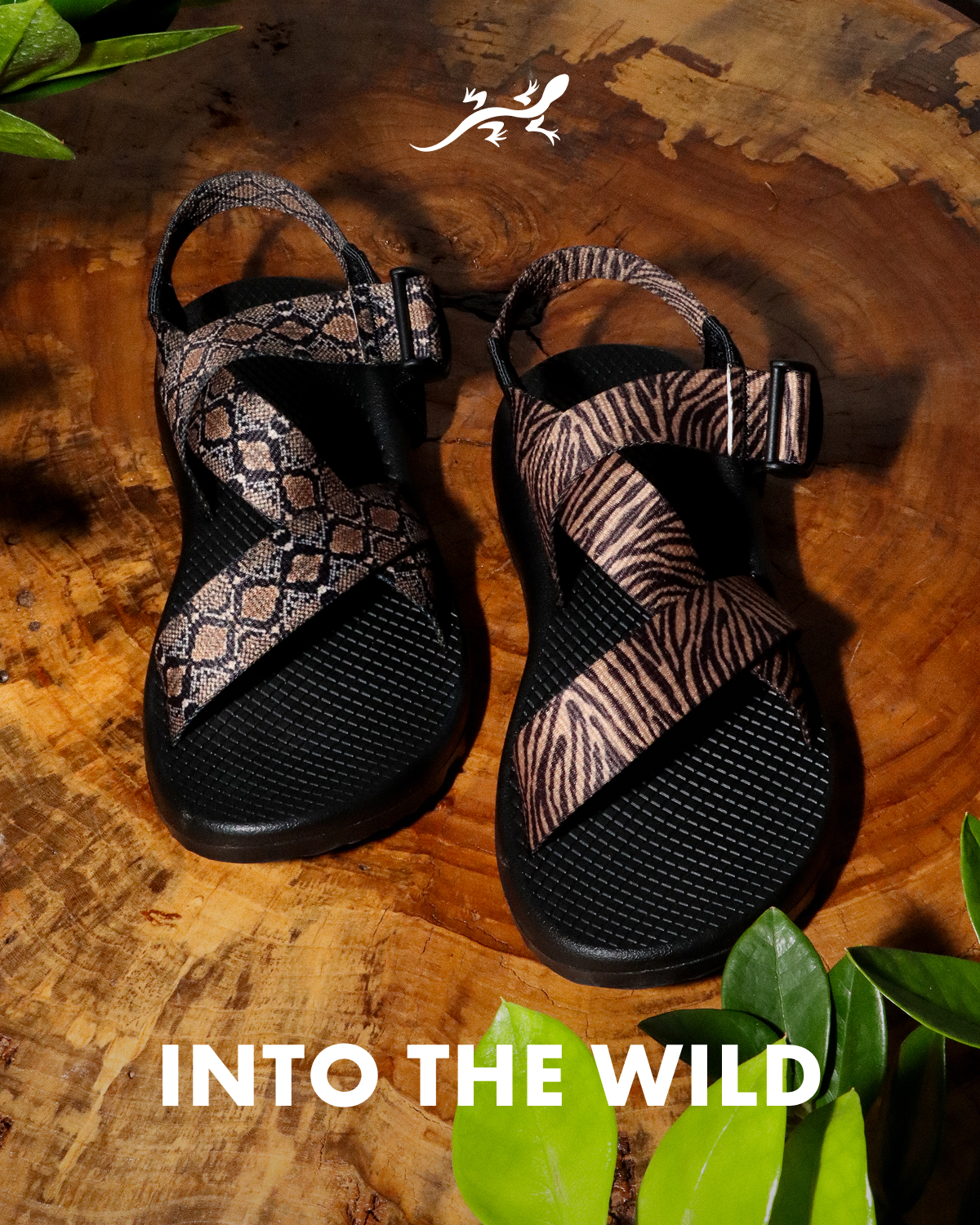 INTO THE WILD