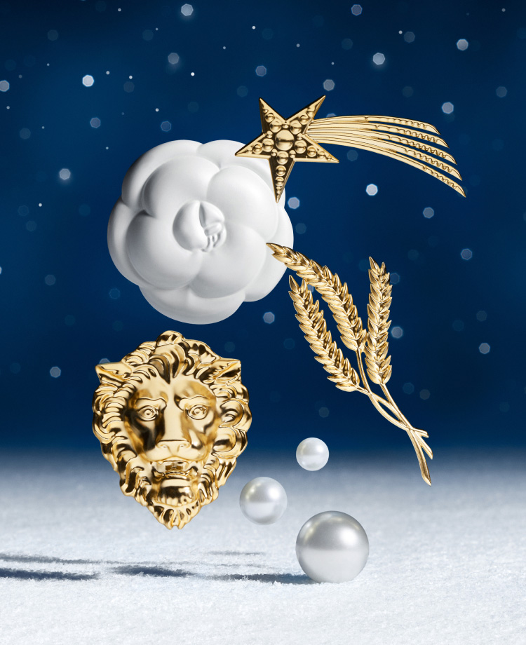 CHANEL WINTER CONSTELLATION