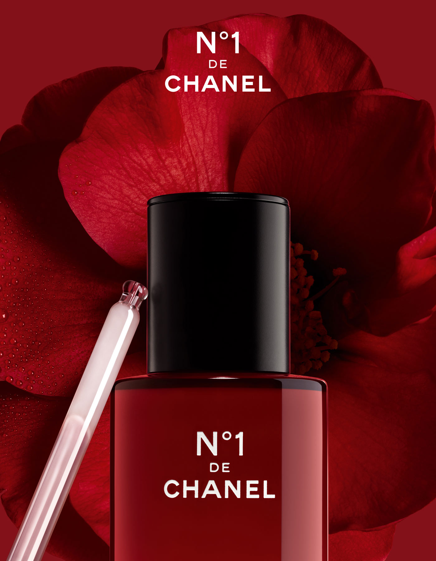 THE SMOOTHING SERUM