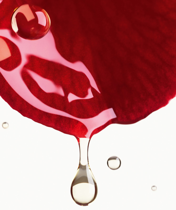 ANTIOXIDANT PROTECTION