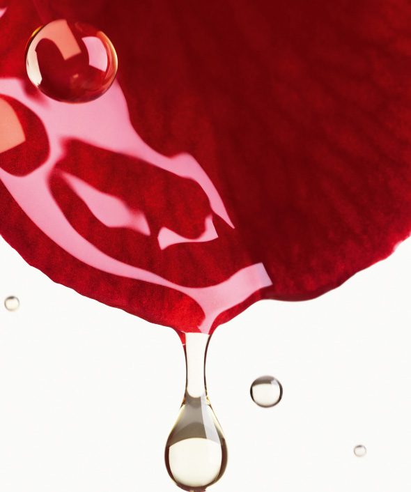 ANTIOXIDANT PROTECTION