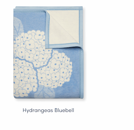 Hydrangeas Bluebell