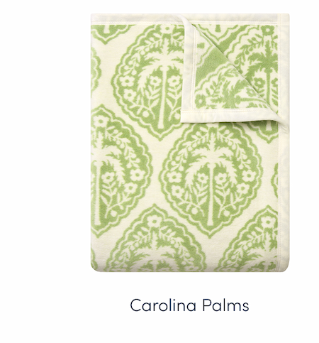 Shop Carolina Palms