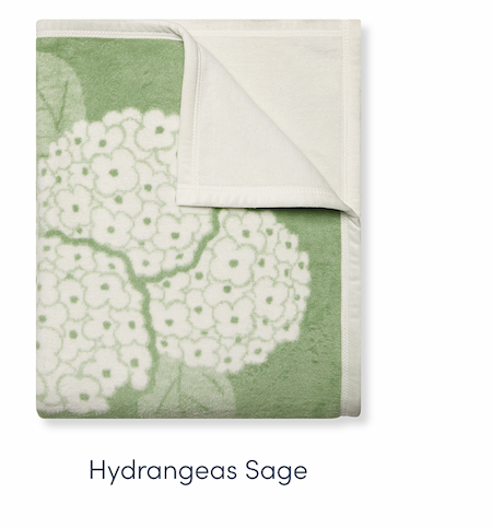 Shop Hydrangeas Sage