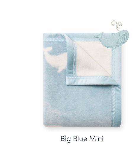 Shop Big Blue Mini