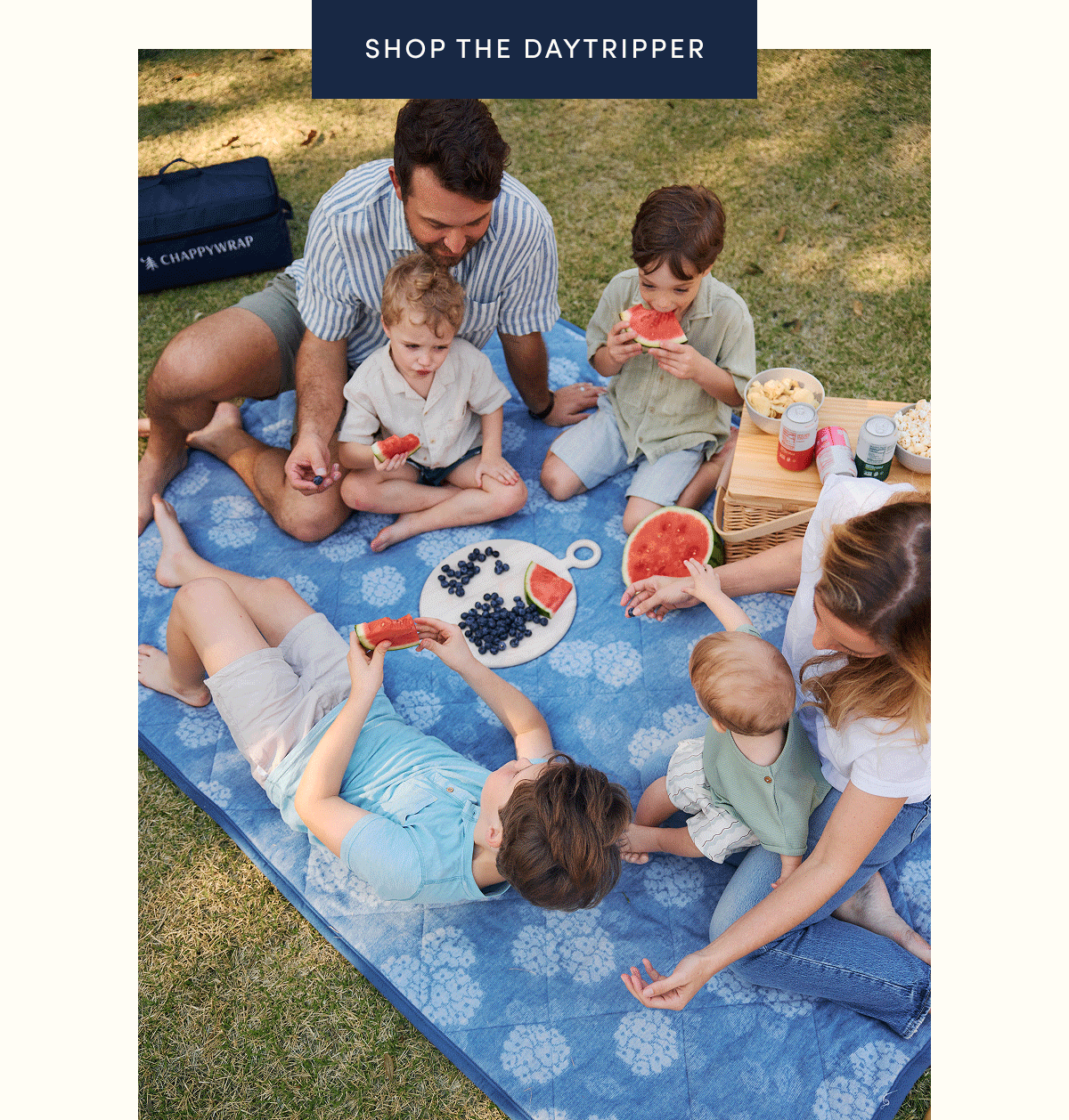 Shop The Daytripper
