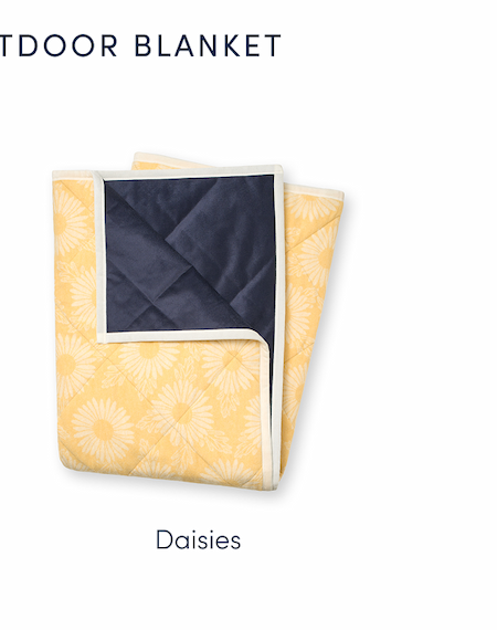Shop Daisies