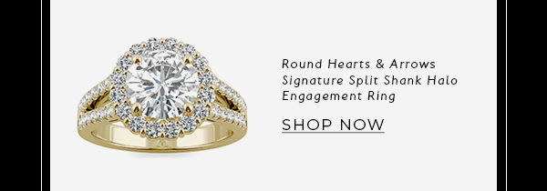 Round Hearts & Arrows Signature Split Shank Accented Halo Engagement Ring