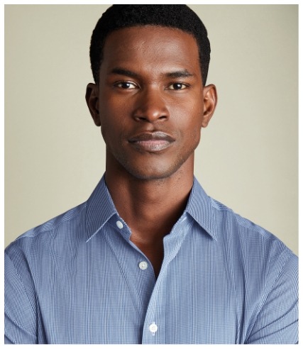 Non-Iron Puppytooth Shirt - Royal Blue