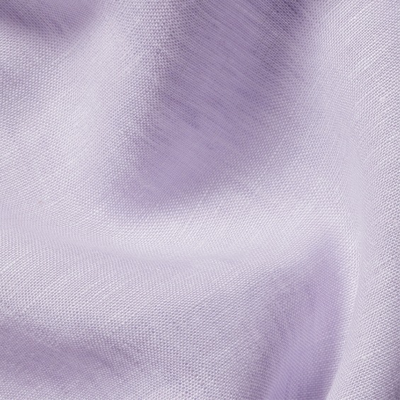 Insert a clear and simple description of the image