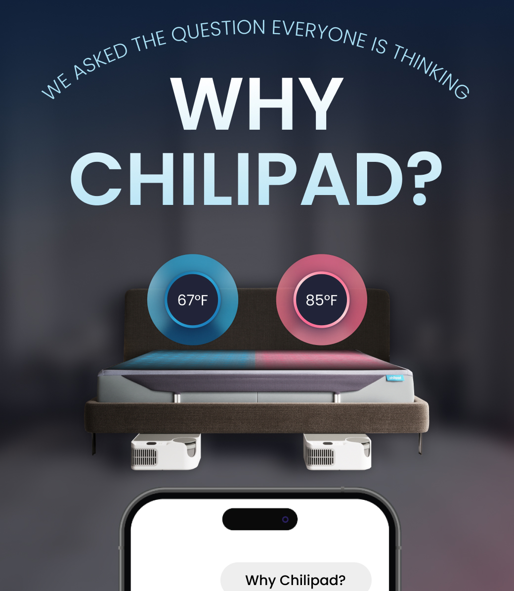 WE ASKED THE QUESTION EVERYONE IS THINKING: WHY CHILIPAD?