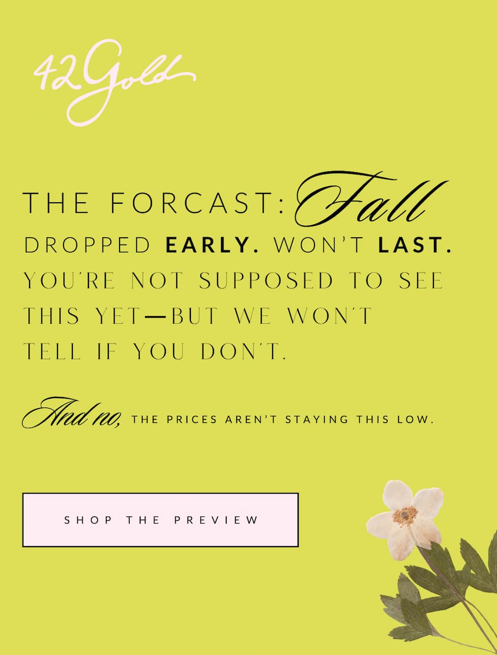 SHOP THE FALL PREVIEW SALE